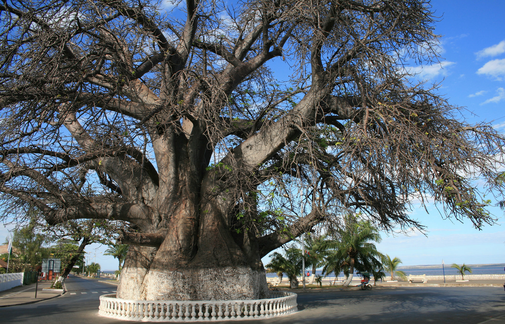 Majunga de Madagascar Andao Travel