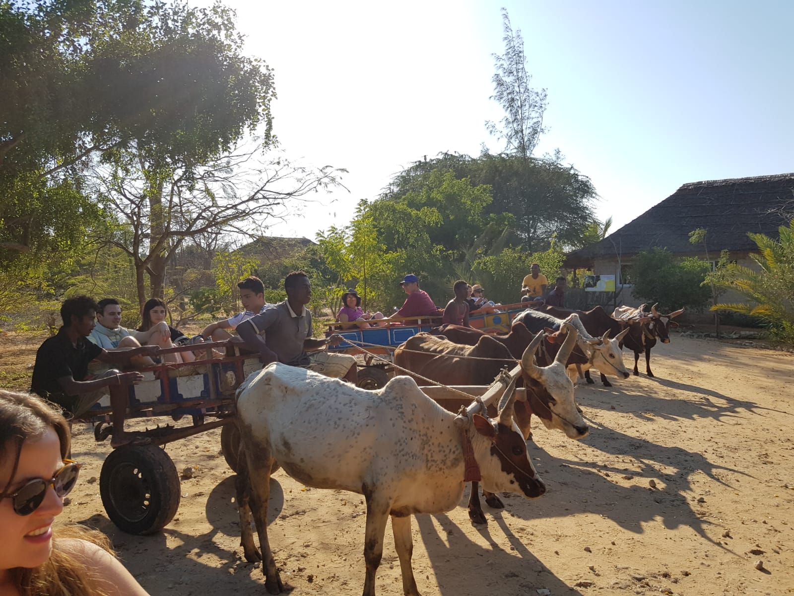 Ifaty Madagascar Andao Travel