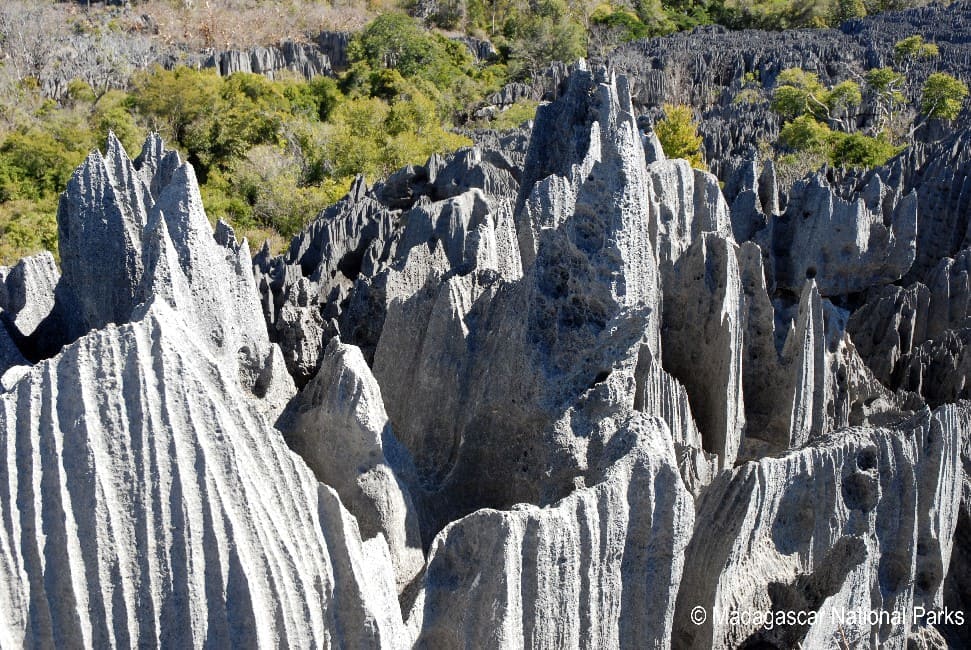 tsingy Bemaraha Madagascar Andao Travel