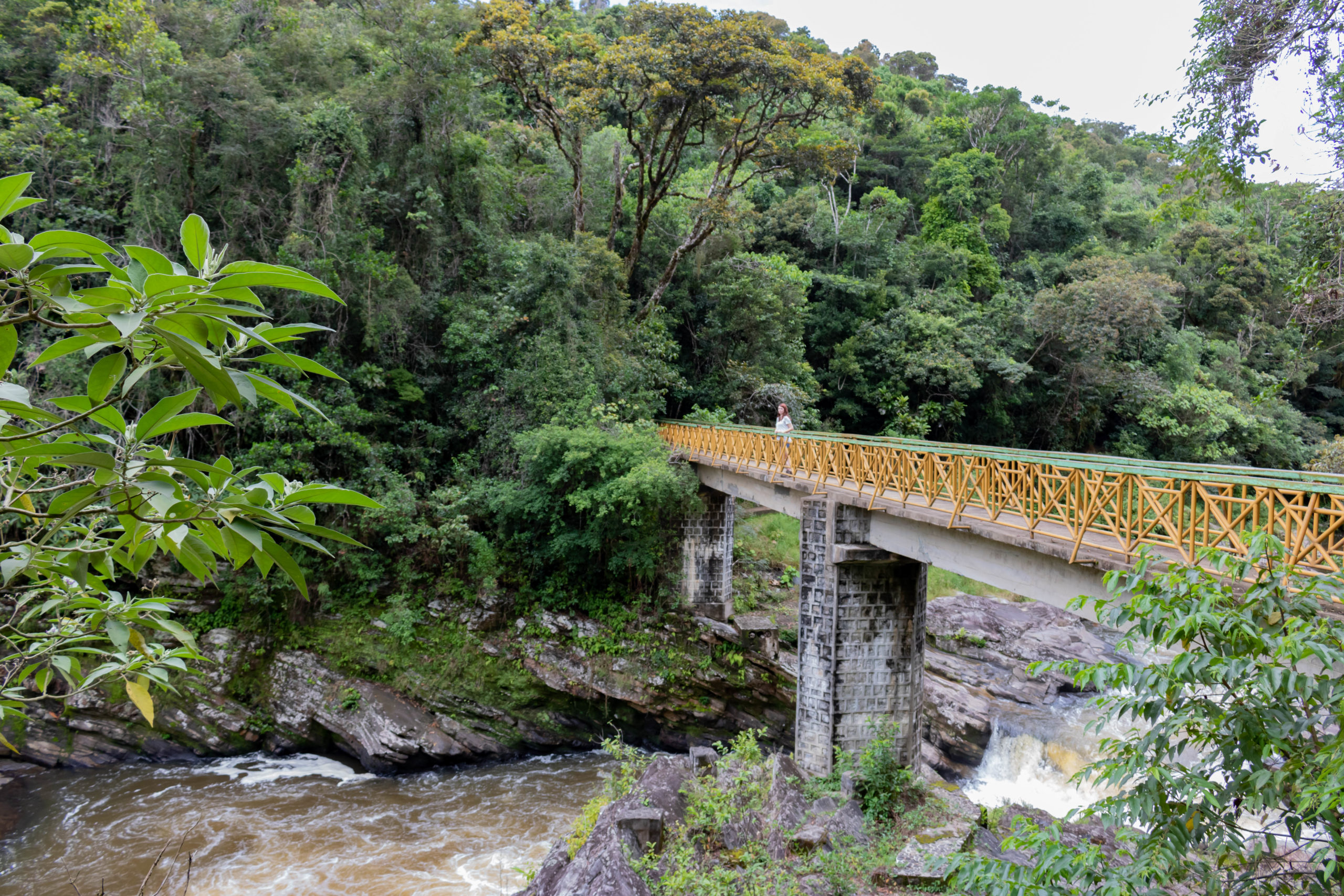 Pont de parc national Ranomafana Madagascar Andao Travel